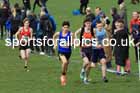 Boys Under-15s, 2024 CAU Inter Counties Cross Country Champs., Wollaton Park, Nottingham. Photo: David T. Hewitson/Sports for All Pics